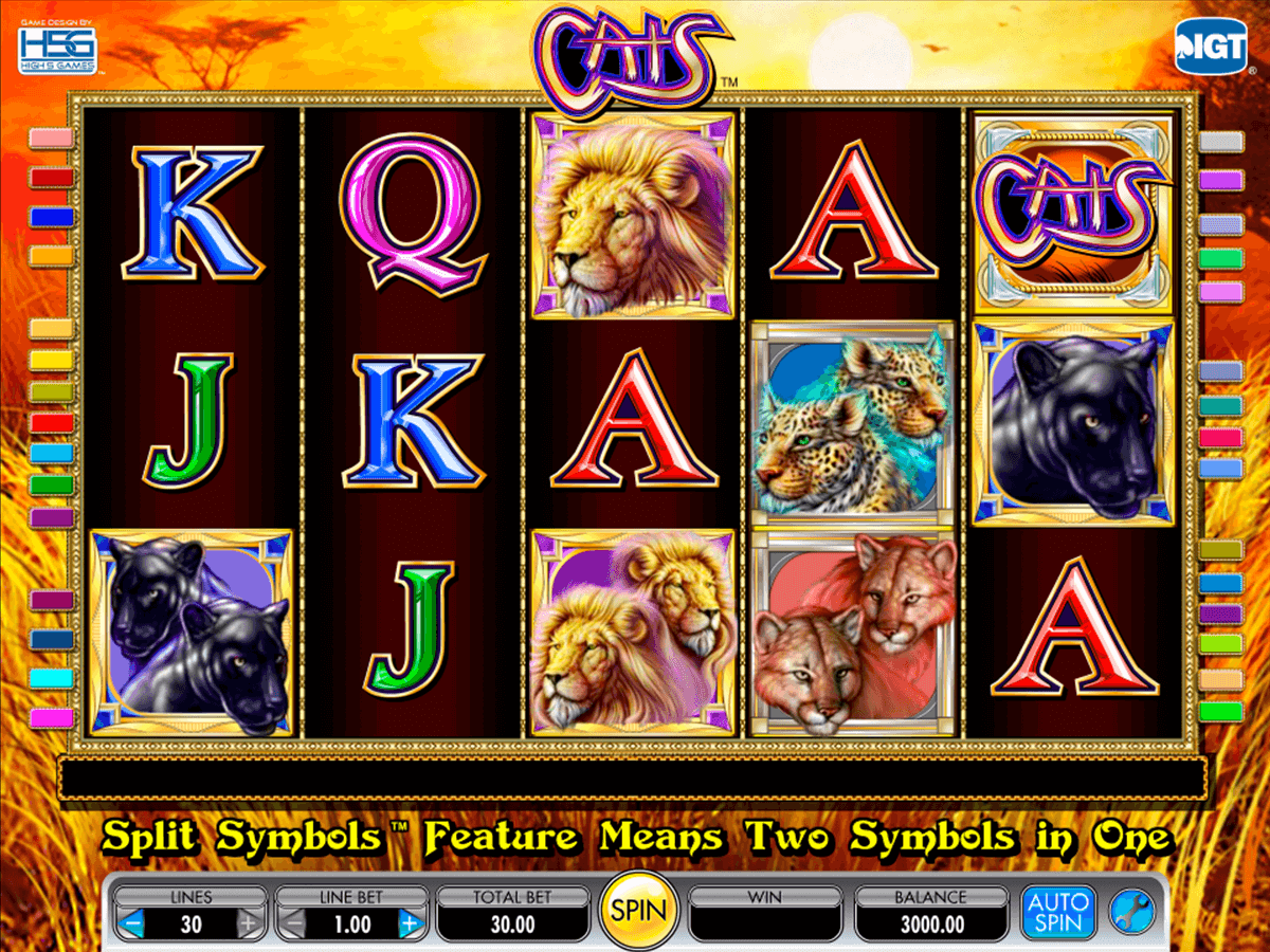 How To Win On A Slot Machine - Video Slot Payout Tips