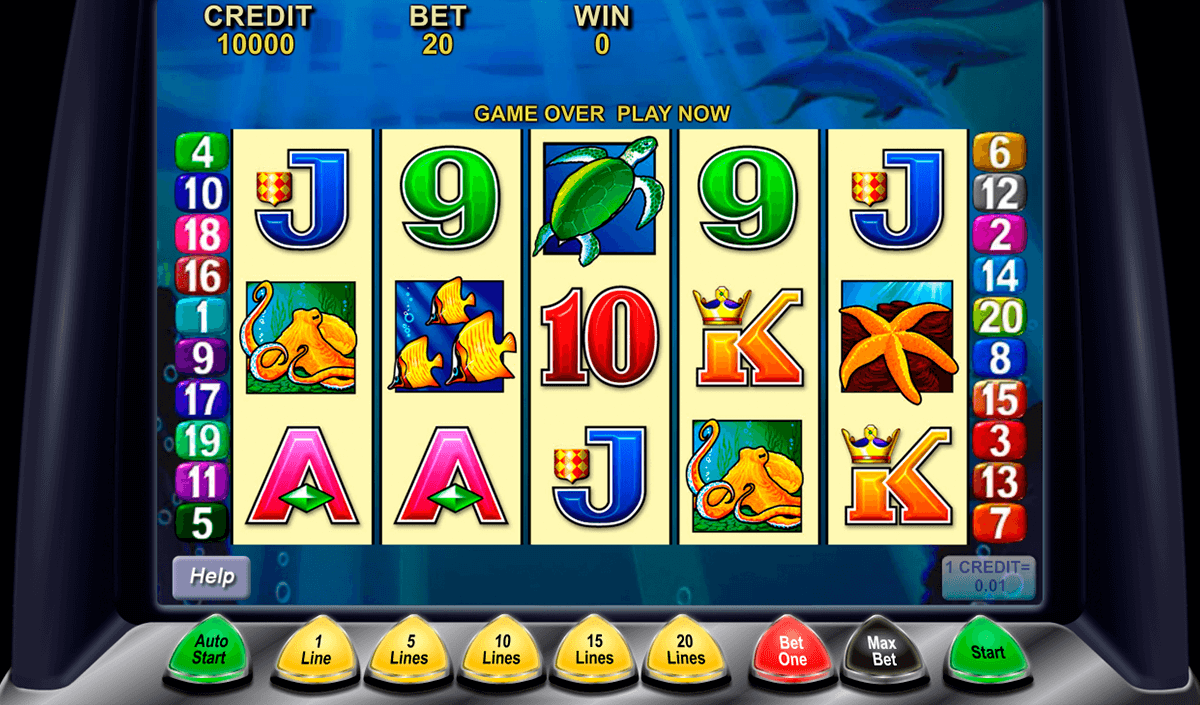 Dolphin Treasure Slot Machine Free Play