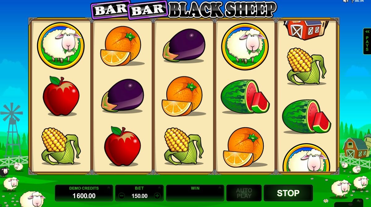 bar bar black sheep 3