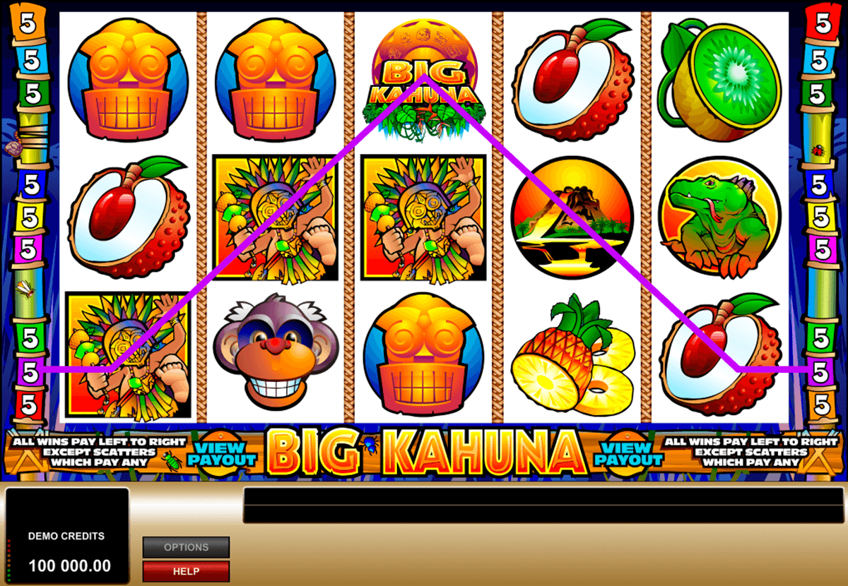 Big Kahuna Slot Machine