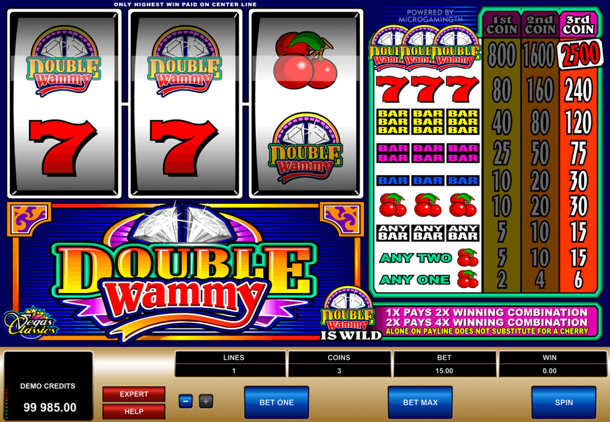 double wammy microgaming slot machine