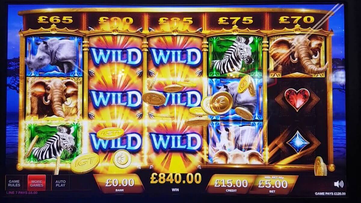 elephant king free play
