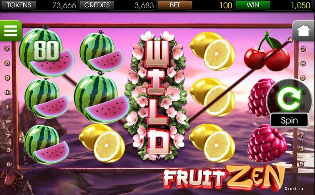 fruit zen2