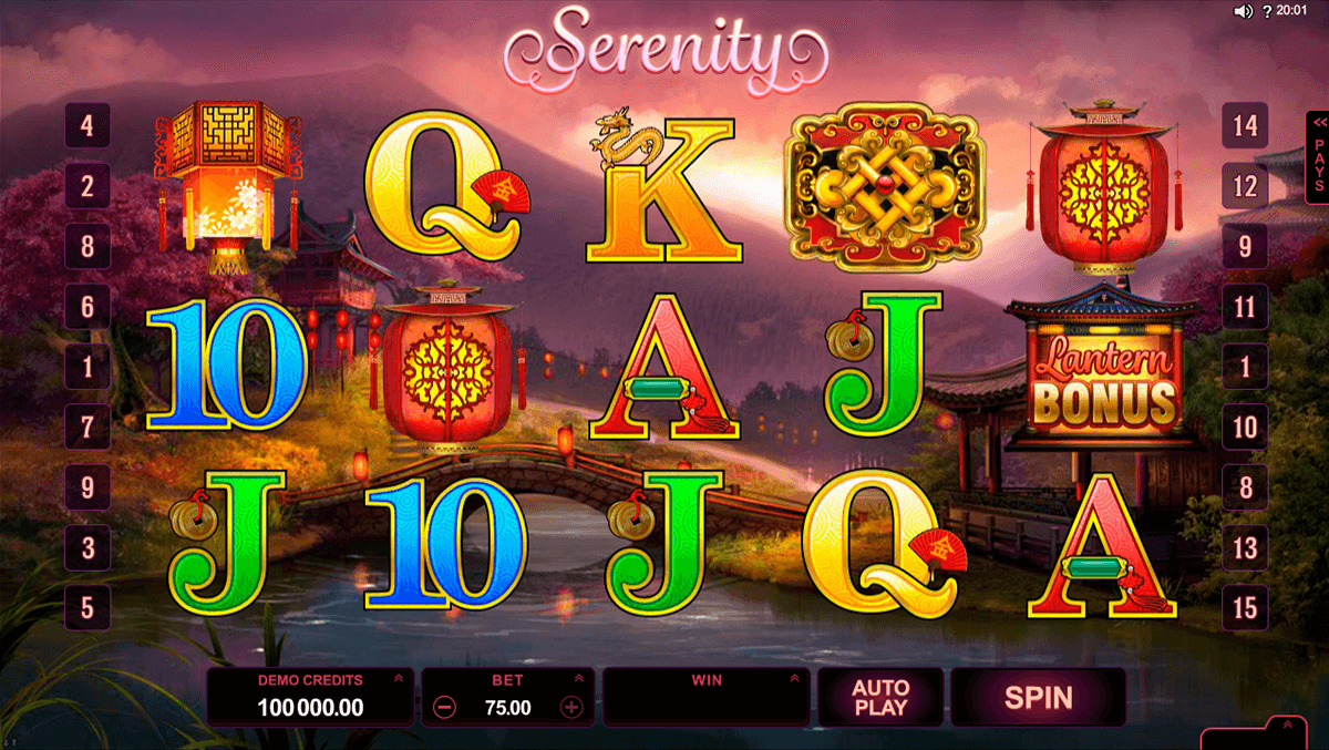 lucky twins microgaming slot machine