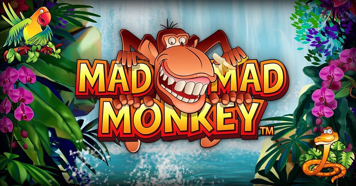 mad mad monkey video slot