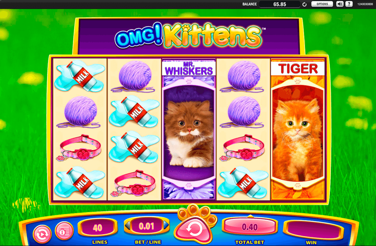 Omg Kittens Free Slot Machine