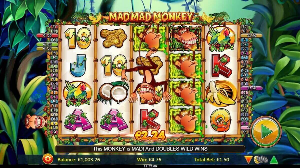 play crazy monkey slot machine