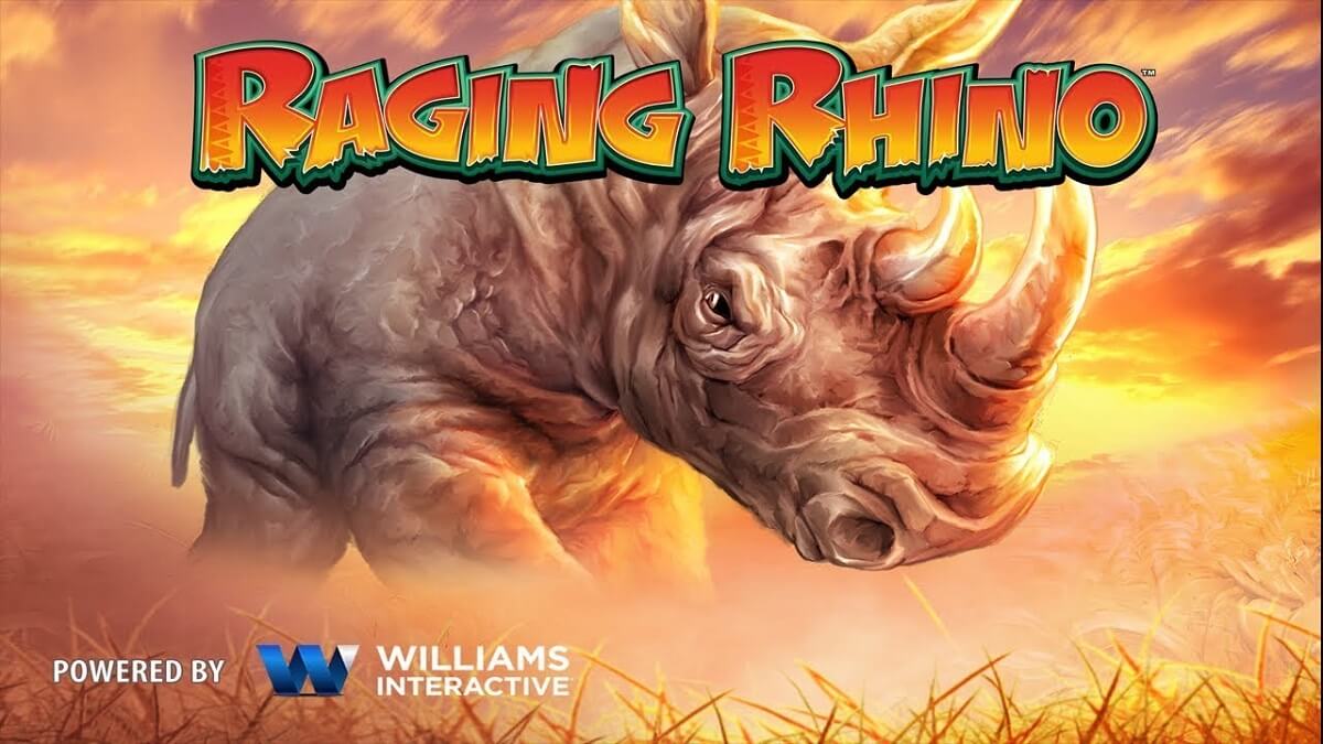 raging rhino1