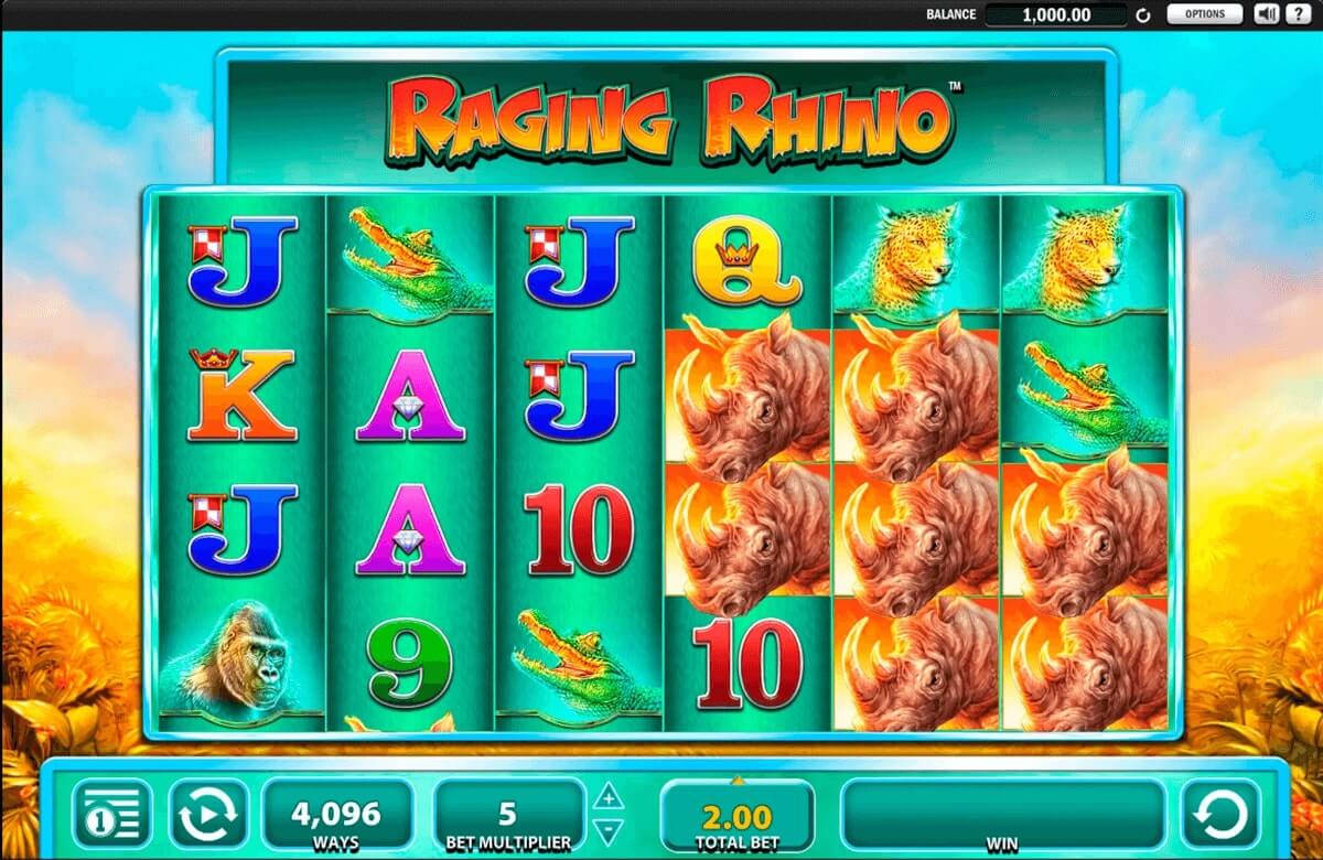 raging rhino2