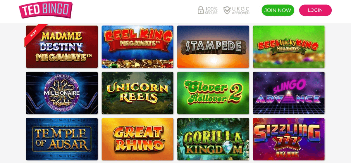 ted bingo casino slot games