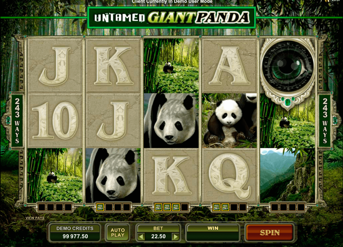 Untamed Giant Panda Slot Machine Untamed Giant Panda Slot Machine