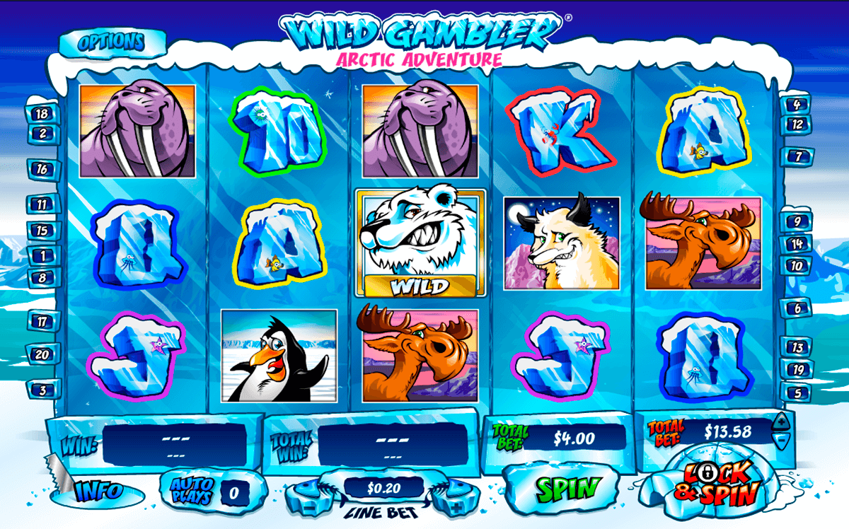 wild gambler arctic adventure playtech slot machine