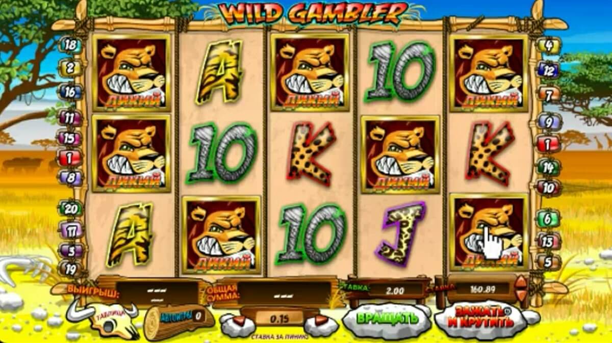 wild gambler2