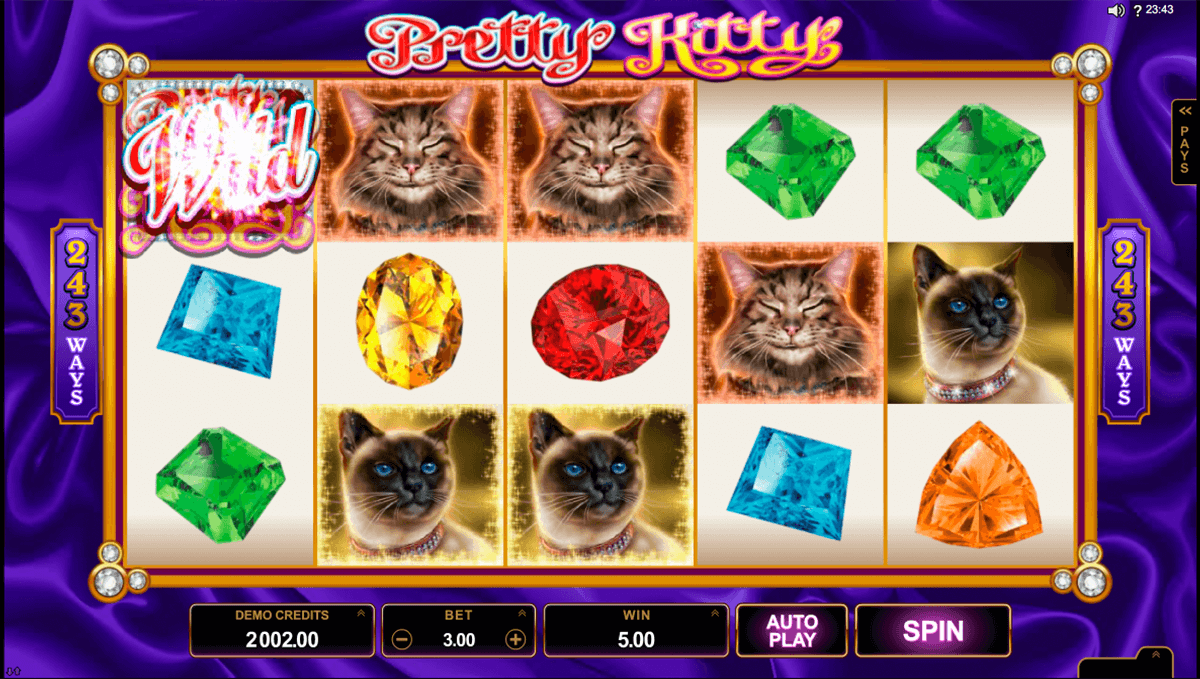 win sum dim sum microgaming slot machine